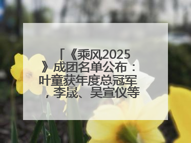 《乘风2025》成团名单公布：叶童获年度总冠军，李晟、吴宣仪等10位姐姐成功成团，陈德容获年度高光人物