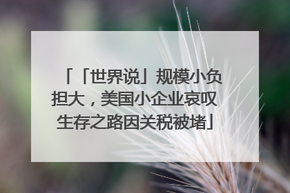 「世界说」规模小负担大，美国小企业哀叹生存之路因关税被堵