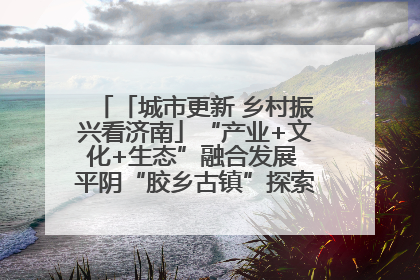 「城市更新 乡村振兴看济南」“产业+文化+生态”融合发展 平阴“胶乡古镇”探索振兴路径成效显著