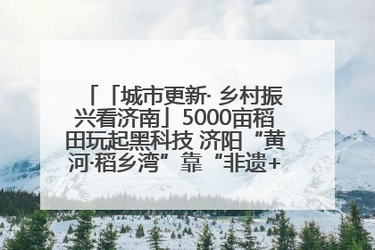 「城市更新· 乡村振兴看济南」5000亩稻田玩起黑科技 济阳“黄河·稻乡湾”靠“非遗+露营”火出圈