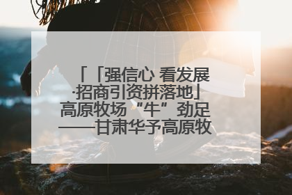「强信心 看发展·招商引资拼落地」高原牧场“牛”劲足——甘肃华予高原牧场高标准奶牛肉牛养殖项目一线见闻