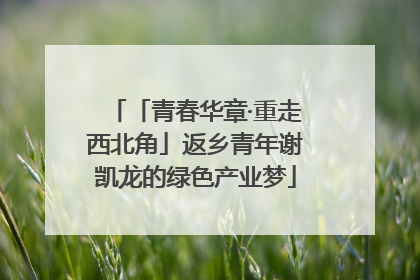 「青春华章·重走西北角」返乡青年谢凯龙的绿色产业梦