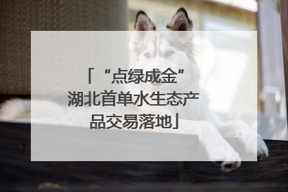 “点绿成金” 湖北首单水生态产品交易落地