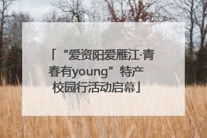 “爱资阳爱雁江·青春有young”特产校园行活动启幕