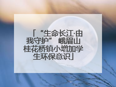 “生命长江·由我守护” 峨眉山桂花桥镇小增加学生环保意识