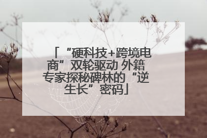 “硬科技+跨境电商”双轮驱动 外籍专家探秘碑林的“逆生长”密码