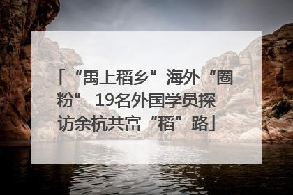 “禹上稻乡”海外“圈粉” 19名外国学员探访余杭共富“稻”路