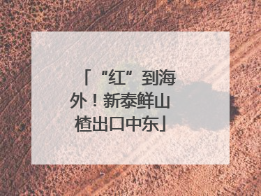 “红”到海外！新泰鲜山楂出口中东