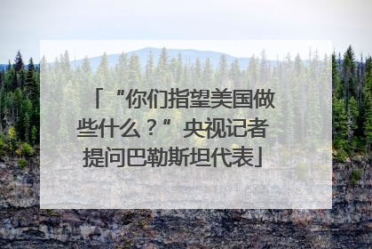 “你们指望美国做些什么？”央视记者提问巴勒斯坦代表