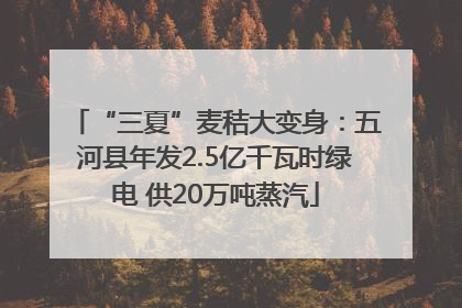 “三夏”麦秸大变身：五河县年发2.5亿千瓦时绿电 供20万吨蒸汽