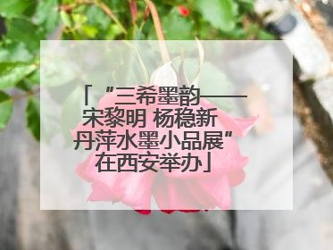 “三希墨韵——宋黎明 杨稳新 丹萍水墨小品展”在西安举办