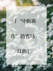 “中医夜市”首秀马耳他