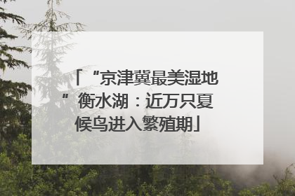 “京津冀最美湿地”衡水湖：近万只夏候鸟进入繁殖期