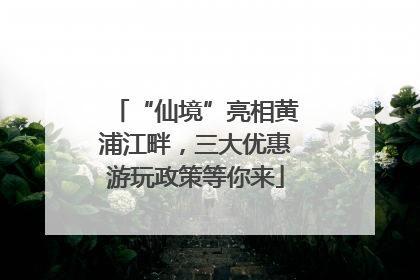 “仙境”亮相黄浦江畔，三大优惠游玩政策等你来