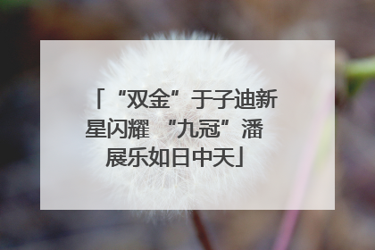 “双金”于子迪新星闪耀 “九冠”潘展乐如日中天