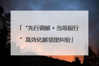 “先行调解＋当场履行”高效化解邻里纠纷
