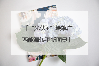 “光伏+”绘就广西能源转型新图景