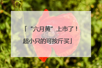 “六月黄”上市了！超小只的可按斤买