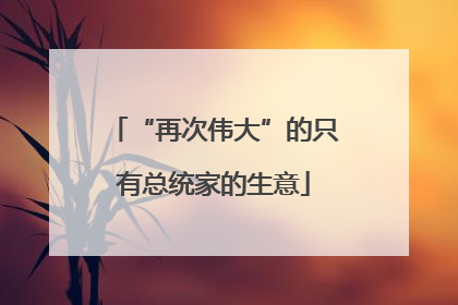 “再次伟大”的只有总统家的生意