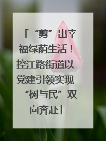 “剪”出幸福绿荫生活！控江路街道以党建引领实现“树与民”双向奔赴