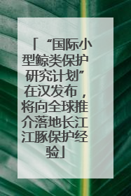 “国际小型鲸类保护研究计划”在汉发布，将向全球推介落地长江江豚保护经验