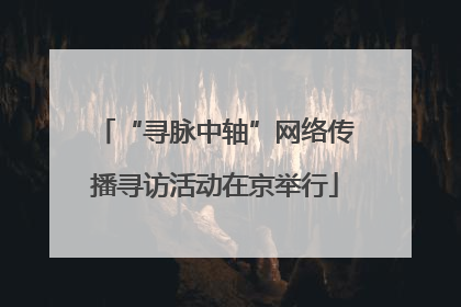 “寻脉中轴”网络传播寻访活动在京举行