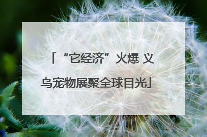“它经济”火爆 义乌宠物展聚全球目光