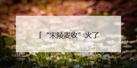 “宋陵麦收”火了！揭秘千年石刻与麦田如何共生→