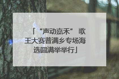 “声动嘉禾” 歌王大赛普满乡专场海选圆满举举行