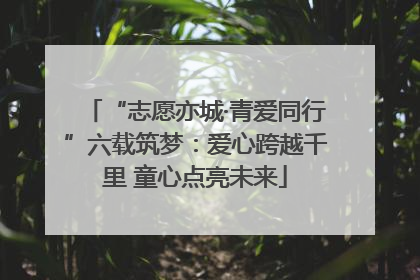 “志愿亦城·青爱同行”六载筑梦：爱心跨越千里 童心点亮未来