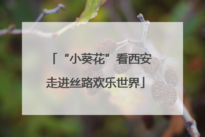 “小葵花”看西安走进丝路欢乐世界