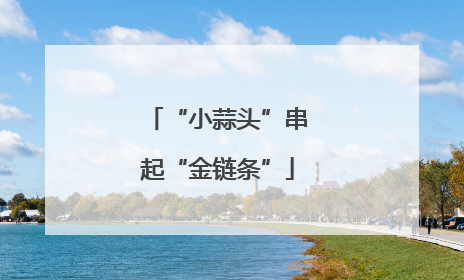 “小蒜头”串起“金链条”