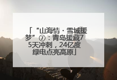 “山海情・雪域援梦”⑦：青岛援藏75天冲刺，24亿度绿电点亮高原