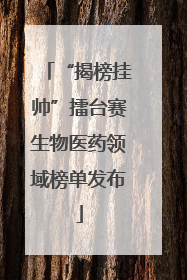 “揭榜挂帅”擂台赛生物医药领域榜单发布
