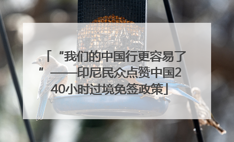 “我们的中国行更容易了”——印尼民众点赞中国240小时过境免签政策