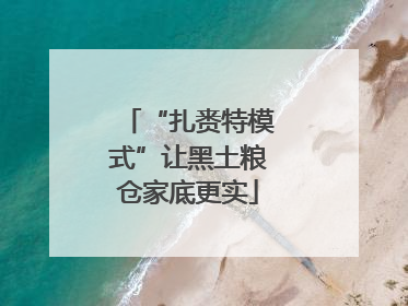“扎赉特模式”让黑土粮仓家底更实