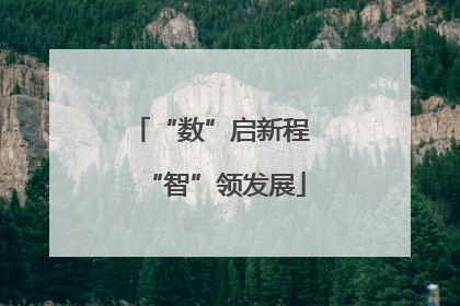“数”启新程 “智”领发展