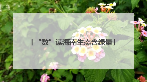 “数”读海南生态含绿量