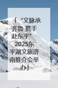 “文脉承齐鲁 携手赴东平” 2025东平湖文旅济南推介会举办