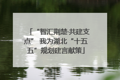 “智汇荆楚·共建支点” 我为湖北“十五五”规划建言献策