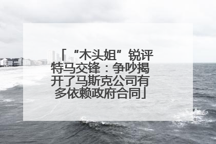 “木头姐”锐评特马交锋：争吵揭开了马斯克公司有多依赖政府合同