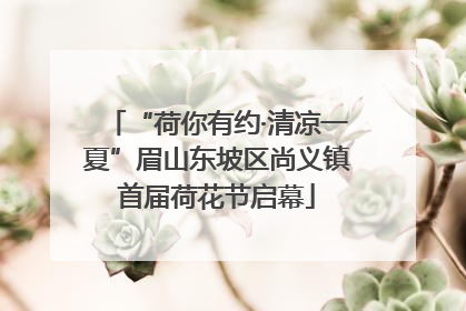 “荷你有约·清凉一夏”眉山东坡区尚义镇首届荷花节启幕