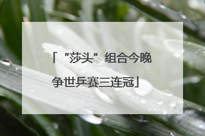 “莎头”组合今晚争世乒赛三连冠