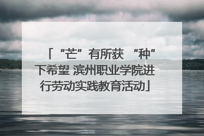 “芒”有所获 “种”下希望 滨州职业学院进行劳动实践教育活动