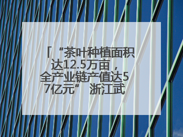 “茶叶种植面积达12.5万亩，全产业链产值达57亿元” 浙江武义茶产业全链发展“加速度”