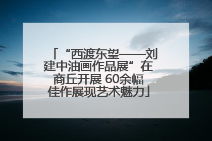 “西渡东望——刘建中油画作品展”在商丘开展 60余幅佳作展现艺术魅力