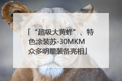 “超级大黄蜂”、特色涂装苏-30MKM 众多明星装备亮相