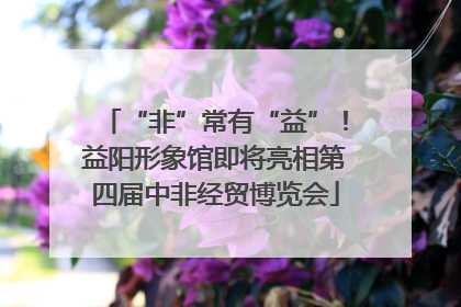 “非”常有“益”！益阳形象馆即将亮相第四届中非经贸博览会