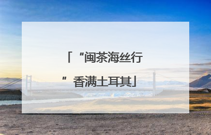 “闽茶海丝行”香满土耳其