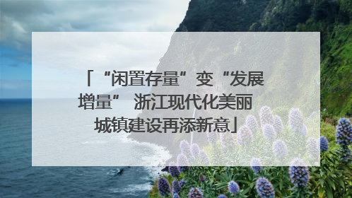 “闲置存量”变“发展增量” 浙江现代化美丽城镇建设再添新意